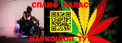 СК Бузулук