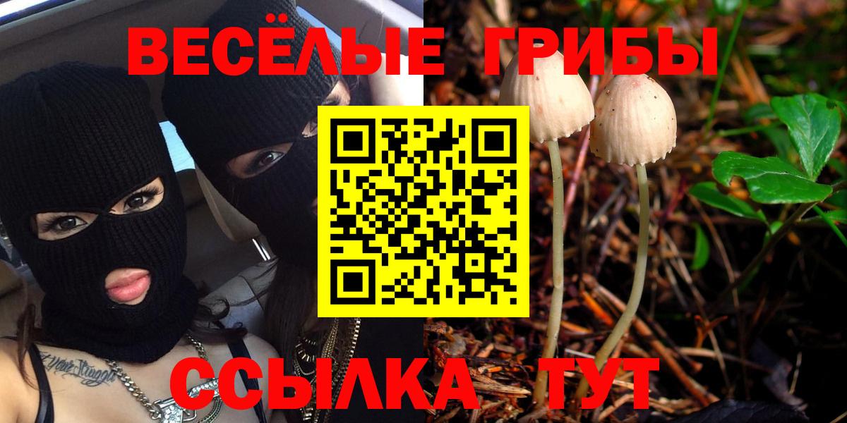 Псилоцибиновые грибы мухоморы Славгород