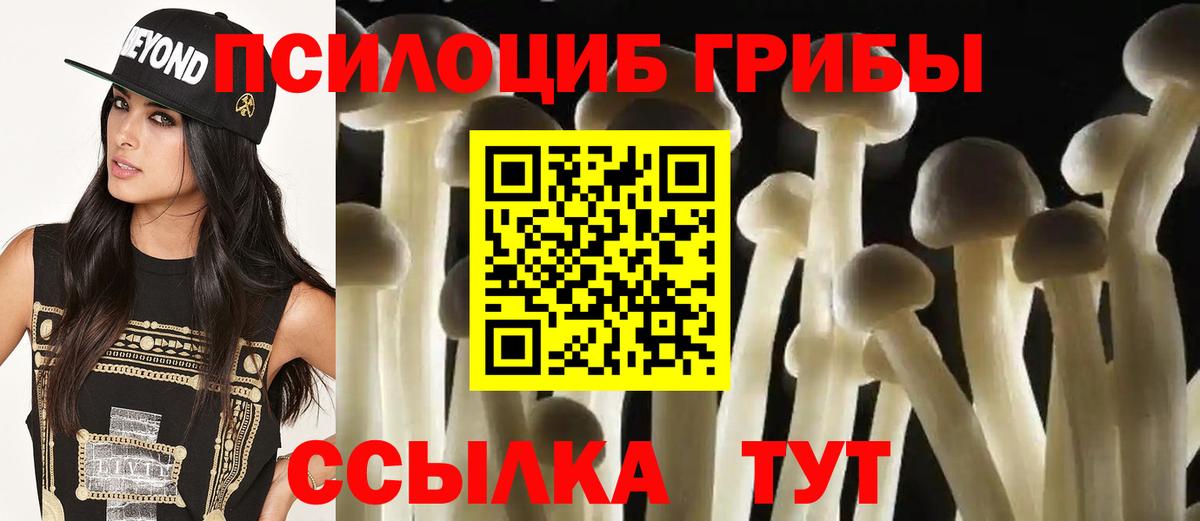 Псилоцибиновые грибы Psilocybine cubensis  Вход с VPN  Славгород 